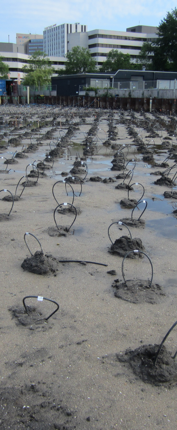 Spot X en Y IMG_0012.JPG