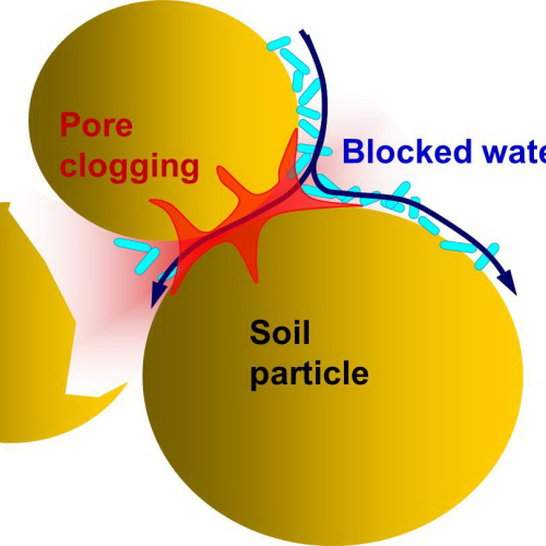 biosealing principle.jpg