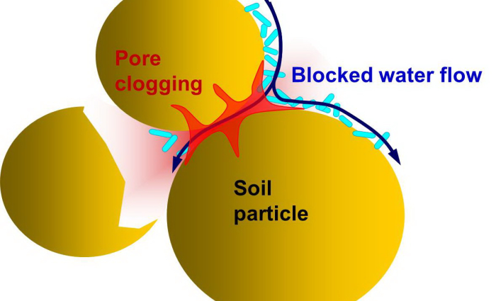 biosealing principle.jpg