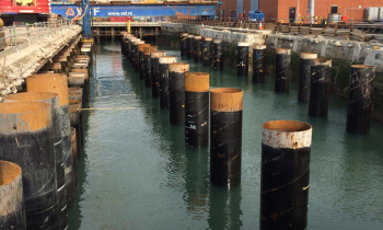 W15-038 IMG_9393.JPG