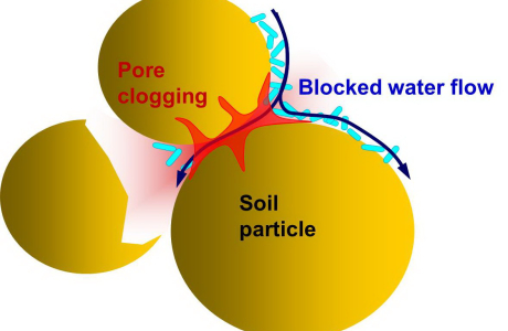 biosealing principle.jpg