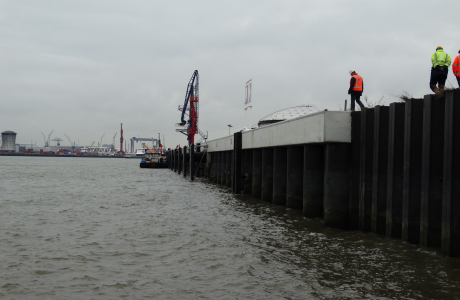 W11-043 DSC03547.JPG