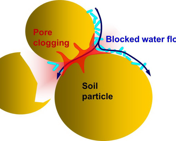 biosealing principle.jpg