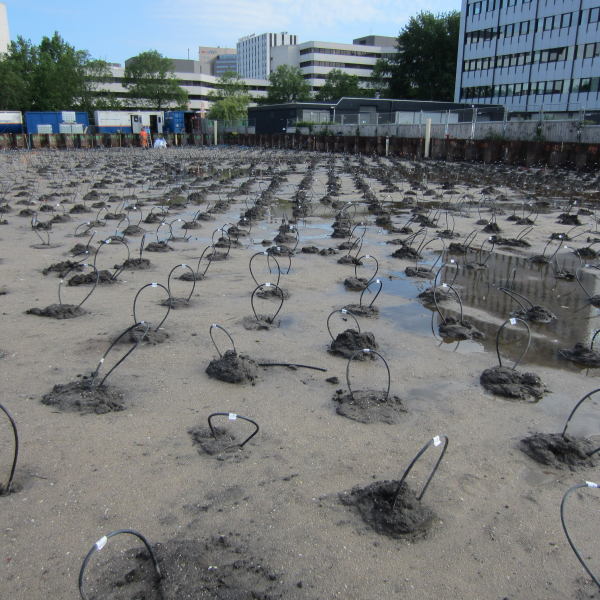 Spot X en Y IMG_0012.JPG